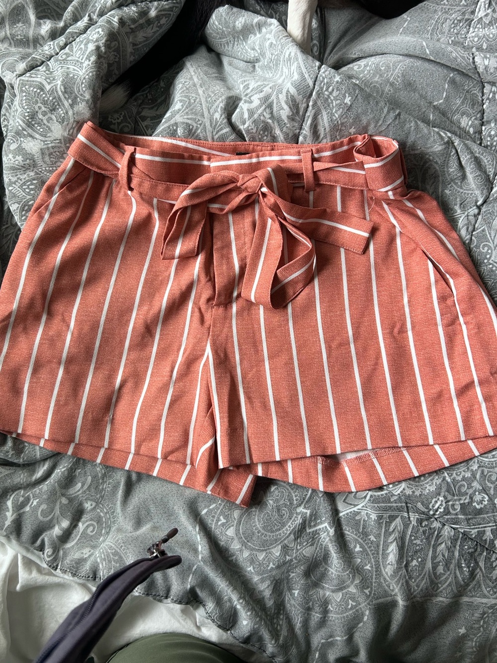 Banana Republic Rust-Striped High Waist Paperbag Shorts - Picture 2 of 4